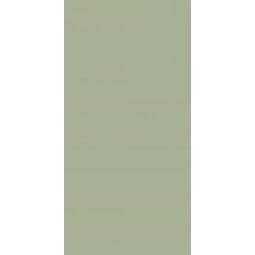 Paradyż, Feelings, PARADYŻ FEELINGS GREEN PŁYTKA ŚCIENNA 29.8X59.8 