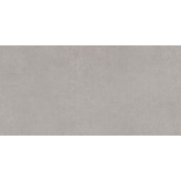 Paradyż, Intero, PARADYŻ INTERO SILVER GRES MAT REKTYFIKOWANY 29.8X59.8 