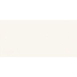 Paradyż, Gamma / Gammo, PARADYŻ GAMMA BIANCO MAT PŁYTKA ŚCIENNA 9.8X29.8 