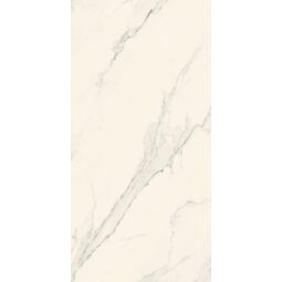 Paradyż (Classica), Bliss, PARADYŻ BLISS SILVER PŁYTKA ŚCIENNA 30X60 