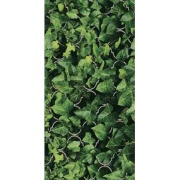 Paradyż (Classica), Dream, PARADYŻ DREAM UNIWERSALNY DEKOR SZKLANY 30X60 