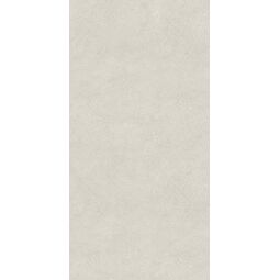 Paradyż (Classica), Memories, PARADYŻ MEMORIES GREY PŁYTKA ŚCIENNA 30X60 