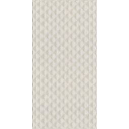 Paradyż (Classica), Memories, PARADYŻ MEMORIES GREY STRUKTURA PŁYTKA ŚCIENNA 30X60 