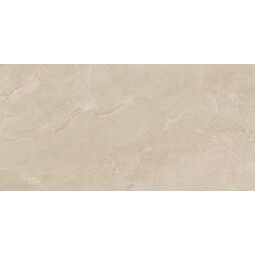 Paradyż (Classica), Aveline, PARADYŻ AVELINE GREIGE GRES MAT REKTYFIKOWANY 59.8X119.8X0.8 