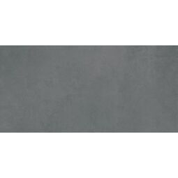 Paradyż (Classica), Loois, PARADYŻ LOOIS BASALT GRES MAT REKTYFIKOWANY 59.8X119.8X0.8 