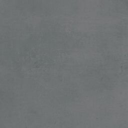 Paradyż (Classica), Loois, PARADYŻ LOOIS BASALT GRES MAT REKTYFIKOWANY 59.8X59.8X0.8 