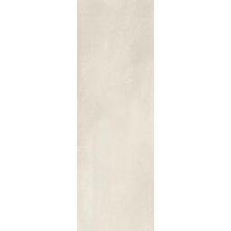 Paradyż (Classica), Silence, PARADYŻ SILENCE SILVER PŁYTKA ŚCIENNA 25X75 