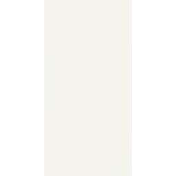 Paradyż (Classica), Synergy, PARADYŻ SYNERGY BIANCO PŁYTKA ŚCIENNA 30X60 