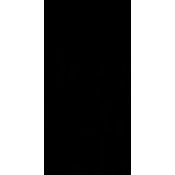 Paradyż (Classica), Synergy, PARADYŻ SYNERGY NERO PŁYTKA ŚCIENNA 30X60 