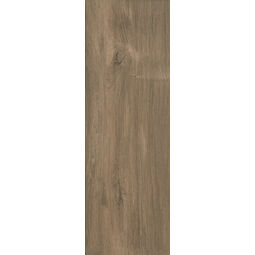 Paradyż (Classica), Wood Basic, PARADYŻ WOOD BASIC BROWN GRES 20X60X1 