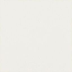 Paradyż, Modern, PARADYŻ MODERN BIANCO TACO MAT 4.8X4.8 