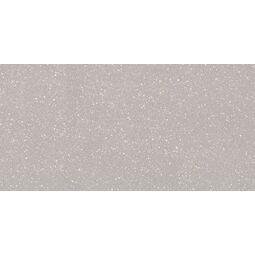 Paradyż, Macroside, PARADYŻ MACROSIDE SILVER GRES MAT REKTYFIKOWANY 59.8X119.8 