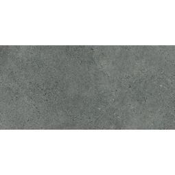 Paradyż (My Way), Authority, PARADYŻ AUTHORITY GRAPHITE PŁYTA TARASOWA GRES MAT STR REKTYFIKOWANY 59.5X119.5X1.8 