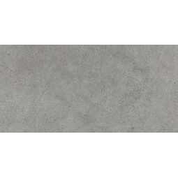 Paradyż (My Way), Authority, PARADYŻ AUTHORITY GREY PŁYTA TARASOWA GRES MAT STR REKTYFIKOWANY 59.5X119.5X1.8 