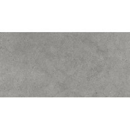 Paradyż (My Way), Authority, PARADYŻ AUTHORITY GREY MAT GRES REKTYFIKOWANY 59.8X119.8 