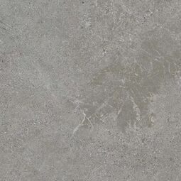 Paradyż (My Way), Authority, PARADYŻ AUTHORITY GREY MAT GRES REKTYFIKOWANY 59.8X59.8X0.8 