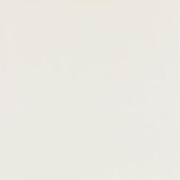 Paradyż (My Way), Elegant Surface, PARADYŻ ELEGANT SURFACE BIANCO GRES MAT REKTYFIKOWANY 59.8X59.8 