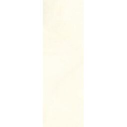 Paradyż (My Way), Elegant Surface, PARADYŻ U119 LIGHT GREY PŁYTKA ŚCIENNA 29.8X89.8 