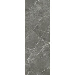 Paradyż (My Way), Noisy Whisper, PARADYŻ NOISY WHISPER GRAPHITE PŁYTKA ŚCIENNA 39.8X119.8 