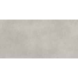 Paradyż (My Way), Architeq, PARADYŻ ARCHITEQ LIGHT GREY MAT GRES REKTYFIKOWANY 59.8X119.8 