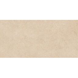 Paradyż (My Way), Fortess, PARADYŻ FORTESS BASE BEIGE MAT GRES REKTYFIKOWANY 59.8X119.8 