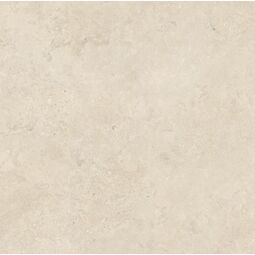 Paradyż (My Way), Fortess, PARADYŻ FORTESS CROSS WHITE MAT GRES REKTYFIKOWANY 119.8X119.8 