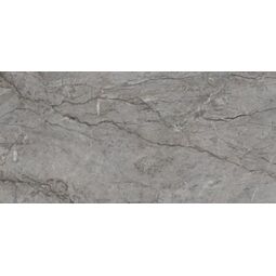 Paradyż (My Way), Visioner, PARADYŻ VISIONER GREY GRES POLER REKTYFIKOWANY 59.8X119.8X0.8 
