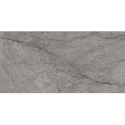 Paradyż (My Way), Visioner, PARADYŻ VISIONER GREY GRES POLER REKTYFIKOWANY 59.8X119.8X0.9 