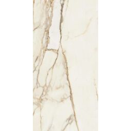 Paradyż (My Way), Warm Wind, PARADYŻ WARM WIND GOLD GRES POLER REKTYFIKOWANY 59.8X119.8 