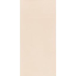 Paradyż, Neve Creative, PARADYŻ NEVE CREATIVE BEIGE POŁYSK PŁYTKA ŚCIENNA 9.8X19.8 