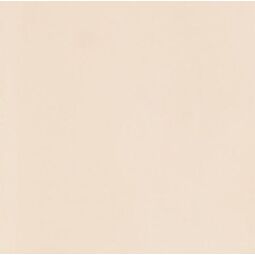 Paradyż, Neve Creative, PARADYŻ NEVE CREATIVE BEIGE POŁYSK PŁYTKA ŚCIENNA 9.8X9.8 