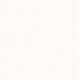 Paradyż, Neve Creative, PARADYŻ NEVE CREATIVE BIANCO POŁYSK PŁYTKA ŚCIENNA 9.8X9.8 