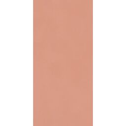 Paradyż, Neve Creative, PARADYŻ NEVE CREATIVE BLUSH POŁYSK PŁYTKA ŚCIENNA 9.8X19.8 