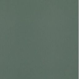 Paradyż, Neve Creative, PARADYŻ NEVE CREATIVE DARK GREEN MAT PŁYTKA ŚCIENNA 19.8X19.8 