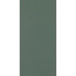 Paradyż, Neve Creative, PARADYŻ NEVE CREATIVE DARK GREEN MAT PŁYTKA ŚCIENNA 9.8X19.8 