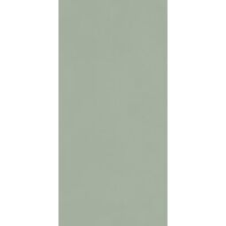 Paradyż, Neve Creative, PARADYŻ NEVE CREATIVE GREEN POŁYSK PŁYTKA ŚCIENNA 9.8X19.8 