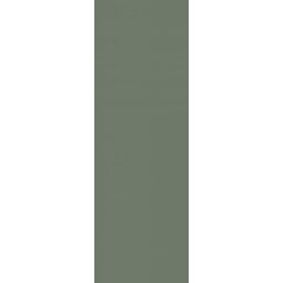 Paradyż, Nightwish, PARADYŻ NIGHTWISH GREEN PŁYTKA ŚCIENNA 25X75 