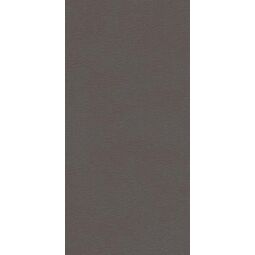 Paradyż, Archicross Base, PARADYŻ ARCHICROSS BASE BLACK STRUKTURA B GRES MAT REKTYFIKOWANY 29.8X59.8X0.8 