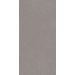 Paradyż, Archicross Base, PARADYŻ ARCHICROSS BASE GREY STRUKTURA B GRES MAT REKTYFIKOWANY 29.8X59.8X0.8 