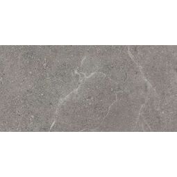 Paradyż, Archicross Concrete, PARADYŻ ARCHICROSS CONCRETE GREY GRES MAT REKTYFIKOWANY 29.8X59.8X0.8 