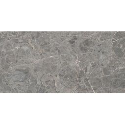 Paradyż, Archicross Stone, PARADYŻ ARCHICROSS STONE GREY GRES MAT REKTYFIKOWANY 29.8X59.8X0.8 