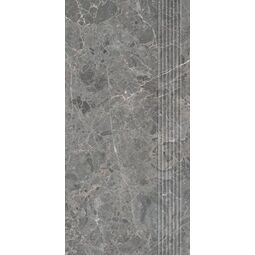 Paradyż, Archicross Stone, PARADYŻ ARCHICROSS STONE GREY STOPNICA MAT PRASOWANA 29.8X59.8X0.8 