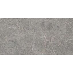 Paradyż, Archicross Stone, PARADYŻ ARCHICROSS STONE GREY STRUKTURA A GRES MAT REKTYFIKOWANY 29.8X59.8X0.8 