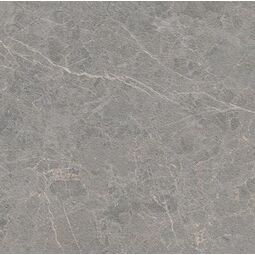 Paradyż, Archicross Stone, PARADYŻ ARCHICROSS STONE GREY STRUKTURA A GRES MAT REKTYFIKOWANY 59.8X59.8X0.8 