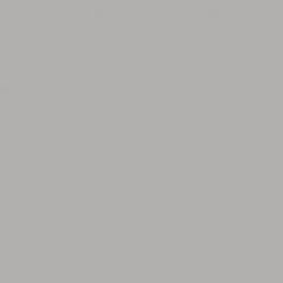 Paradyż, Gamma/Gammo Colours, PARADYŻ GAMMA JASNO SZARA COLOURS POŁYSK PŁYTKA ŚCIENNA 19.8X19.8 