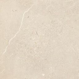 Paradyż, Sunnydust, PARADYŻ SUNNYDUST LIGHT BEIGE GRES MAT REKTYFIKOWANY 59.8X59.8X0.9 