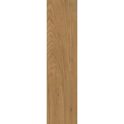 Paradyż, Trueland, PARADYŻ TRUELAND 2.0 GOLD STR PŁYTA TARASOWA 29.5X119.5 