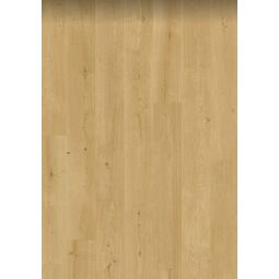 Pergo, Odense, PERGO DĄB PRZEJRZYSTY PANEL LAMINOWANY 205X24X0.95 (L0363-06795) 