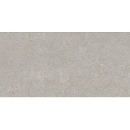 Peronda, Ghent, PERONDA GHENT GREY GRES REKTYFIKOWANY 60X120 (38936) 