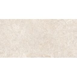 Peronda, Alchemy, PERONDA ALCHEMY EARTH AS GRES REKTYFIKOWANY 60X120 (37737) 